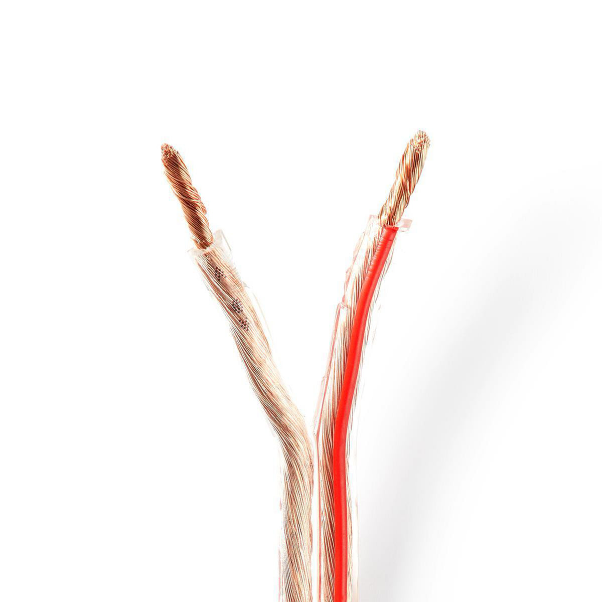 Nedis - Højtaler Kabel | 2 x 4.00 mm² | CCA | 100 m | Runde | PVC | Gennemsigtig | Folie - CAGW4000TR1000